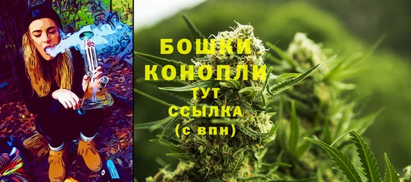 твердый Михайловск