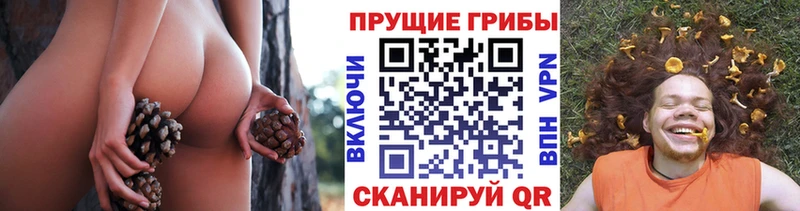 Галлюциногенные грибы мицелий  купить наркотики сайты  Саранск 