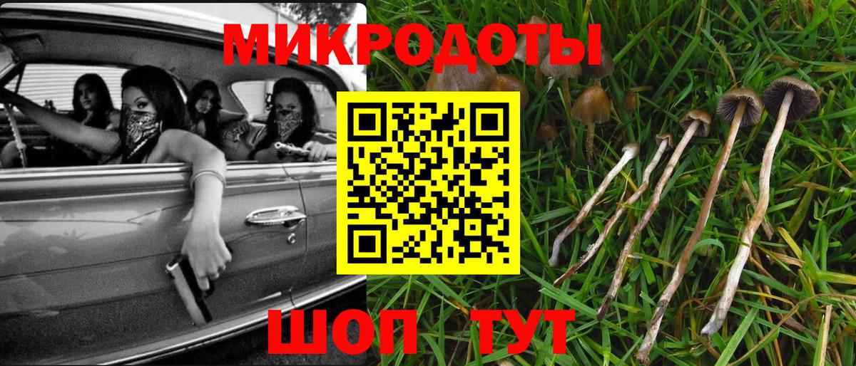Конопля Саранск